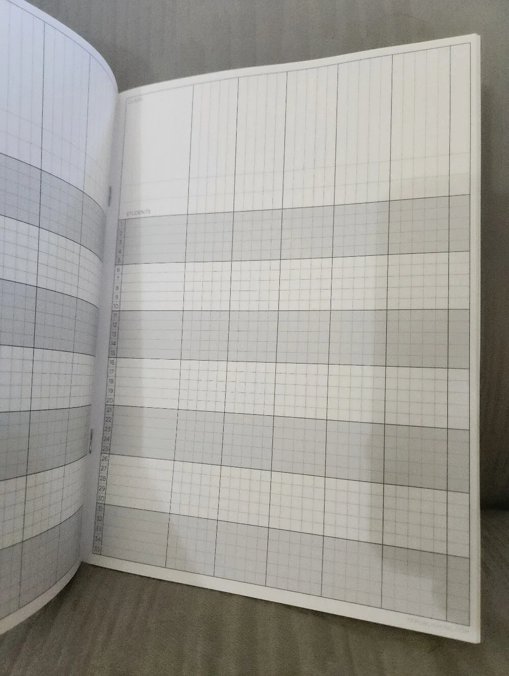 🎉 Blank Teacher's Record Book